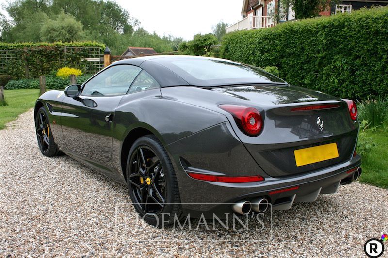 137245 - CANNA DI FUCILE-3.jpg