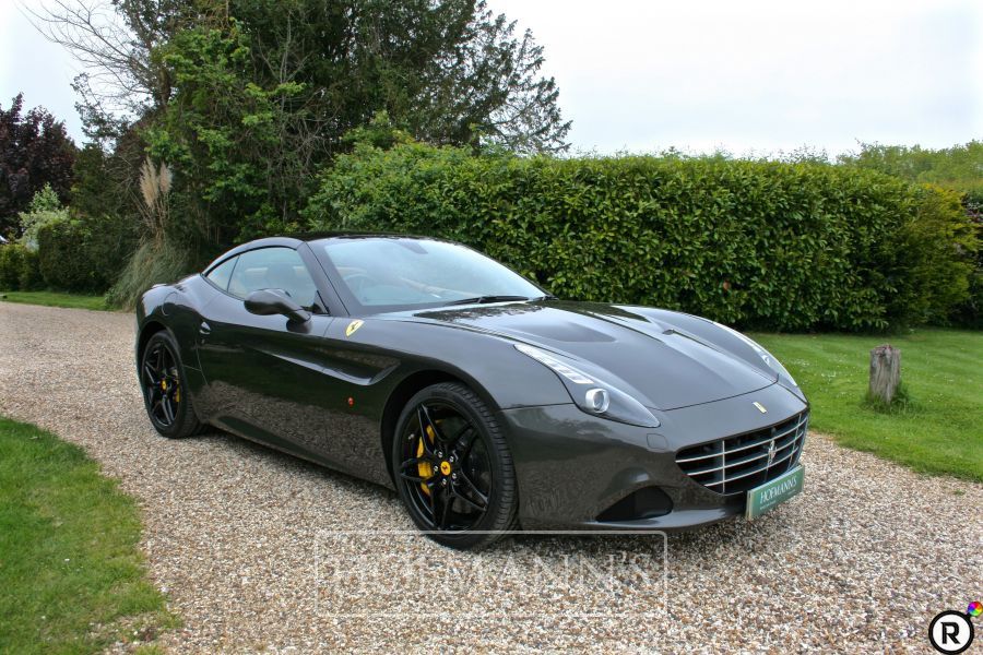 137245 - CANNA DI FUCILE-2.jpg