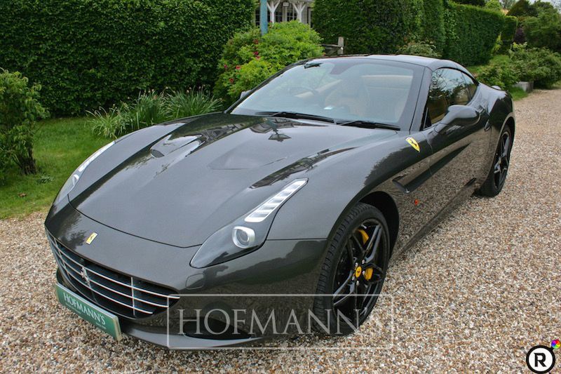 137245 - CANNA DI FUCILE-0.jpg